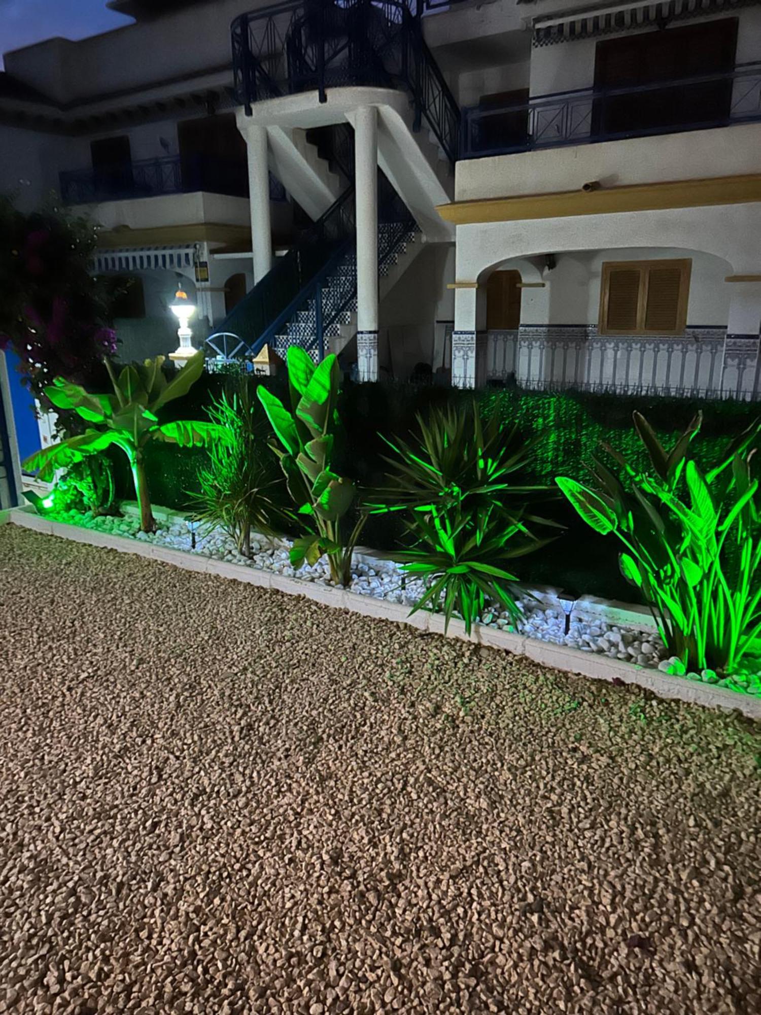 Acogedor Apartamento En La Playa Vera Extérieur photo